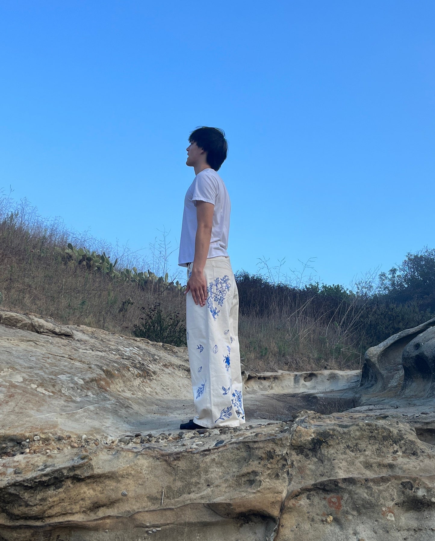 China Porcelain Denim