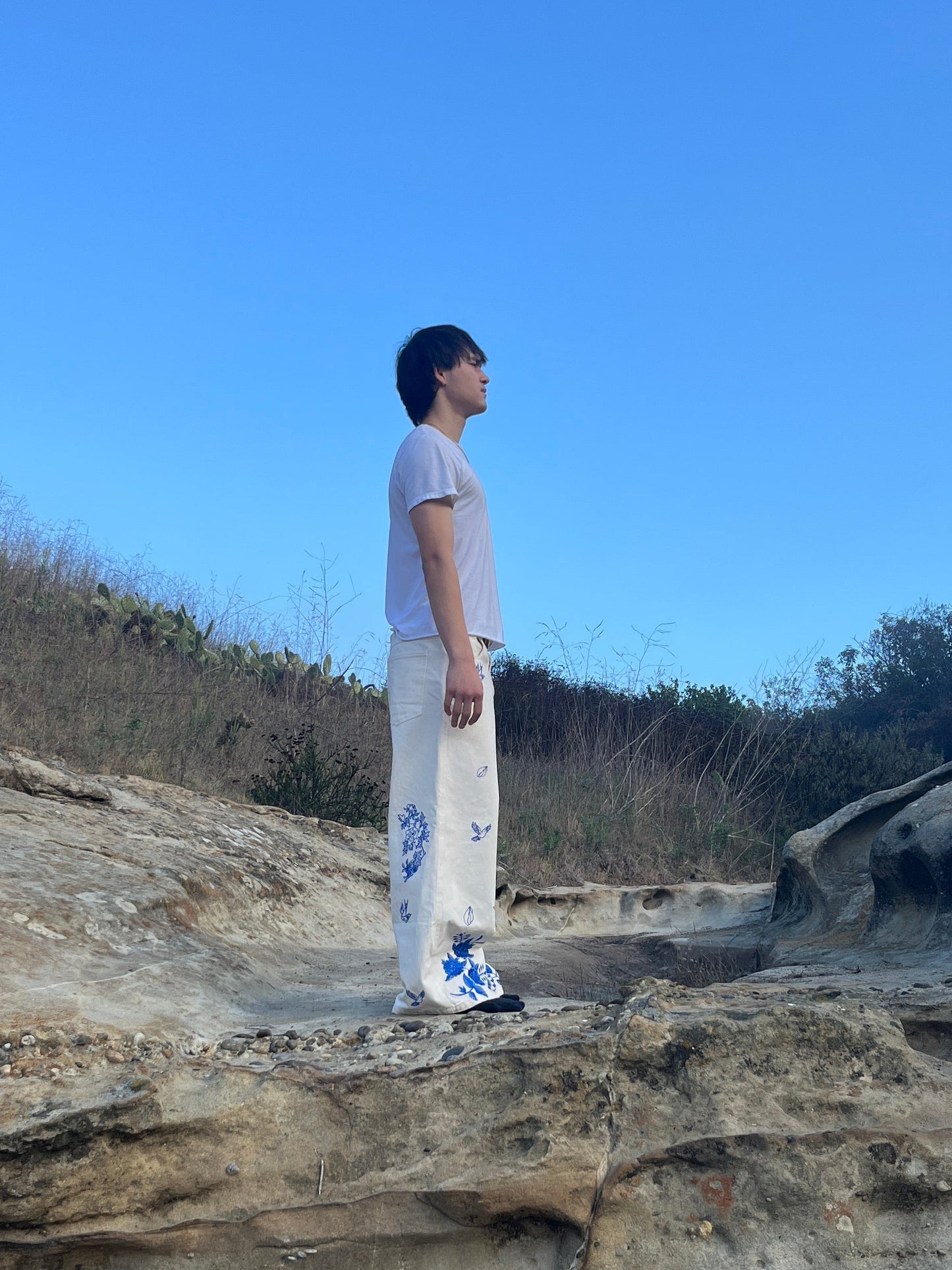 China Porcelain Denim